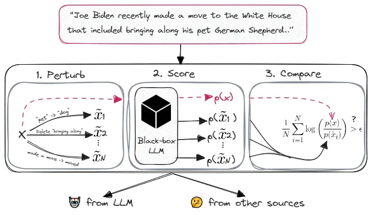 Schematic representation of the DetectGPT method