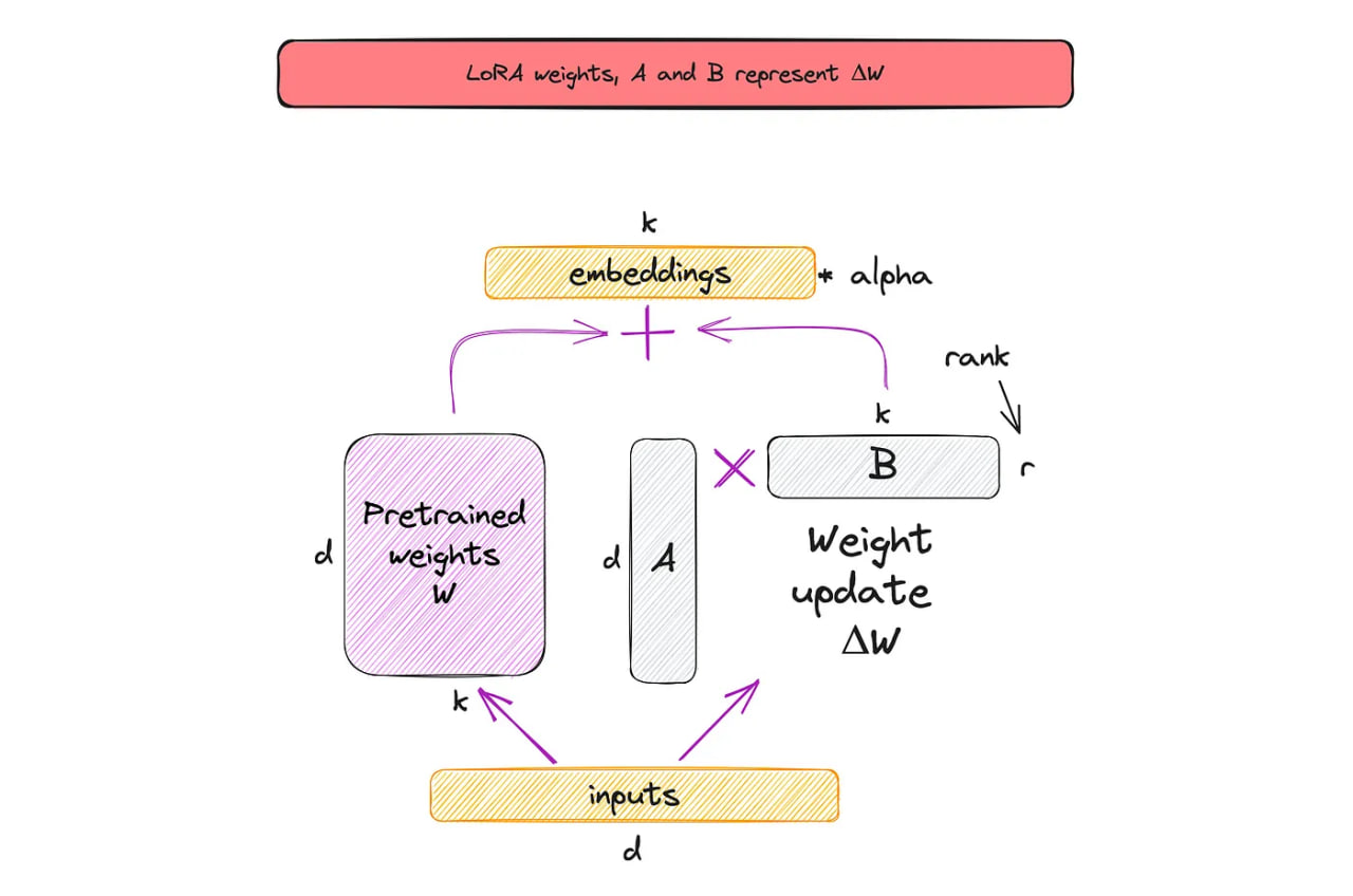 Forward pass with <b>updated</b> model.